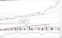 什么是成交量柱線？