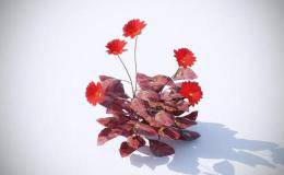 莊家出貨有哪些騙術(shù)？散戶該怎樣識破？