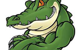 跟莊秘籍：教你如何辨別莊家是在洗盤還是出貨？莊家也騙不了我！