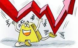 股息紅利差別化如何實行的？上市公司股息紅利差別化有什么政策嗎？