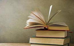 金融危機(jī)理論和歷史意義及研究進(jìn)展詳述