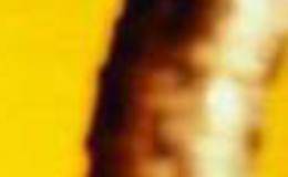 債轉(zhuǎn)股中簽后多久上市?如何查詢中簽債轉(zhuǎn)股？