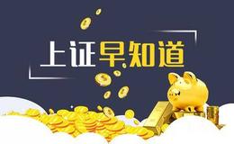 [上證早知道]關鍵詞：芯片（2020/5/29)