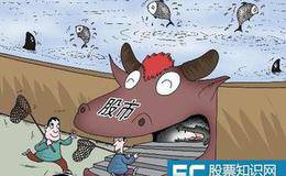 大學生的炒股經歷